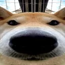 yyoouuooyy