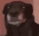stare Discord emoji
