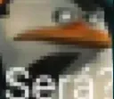b_sera