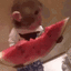 pp210 Discord emoji