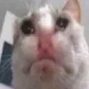 sad