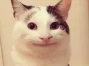 okdude