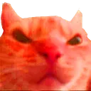 AngyCat