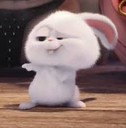 Snowball the white rabbit looking at the camera with a smug, half-lidded expression.