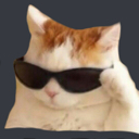 AGC_fbi_cat Discord emoji
