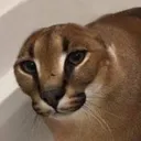ket