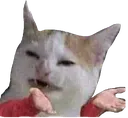 catwhat
