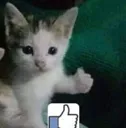 like like