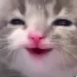 kittenhappy