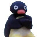 pinguangy