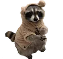 CoonDrip