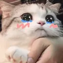 LB_catcri2 Discord Emoji