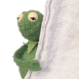 KermitBlanketShy Discord emoji