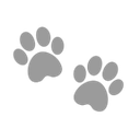 6_graypawprints