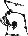 yogaskeleton