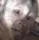 zmonkeystare