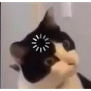 Loadingcat Discord Emoji