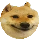 buenospin