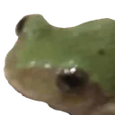 freg