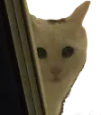 topiPeek