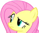 FluttershyConfused