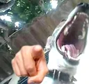 XDDD