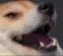 emoji_5