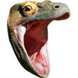 9668_KomodoHype