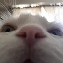 Rs_nya
