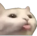 CatBlep