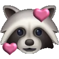 loveyraccoon