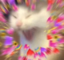 hearts_hearts_hearts