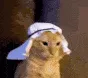 K_
