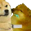 stabdoggos