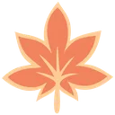 KazuMapleO