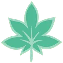 KazuMapleG
