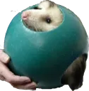 punishmentorb