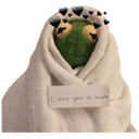 KermitBlanket10 Discord emoji
