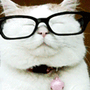 42_ahh_kittyexcuseme