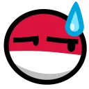 Polandball_Sweat Polandball_Sweat