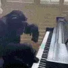 monke_piano