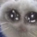 PWEASE PWEASE