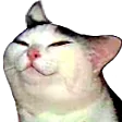 smug smug