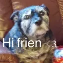 hiFrien