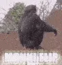 MonkeFlip MonkeFlip