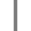 bottoVertical