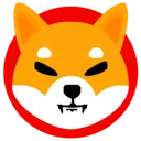 shiba