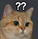 confusioncat Discord Emoji
