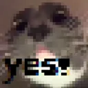yes