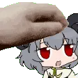 nynPet